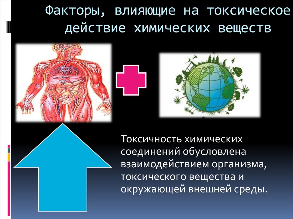 Токсическое воздействие химических веществ