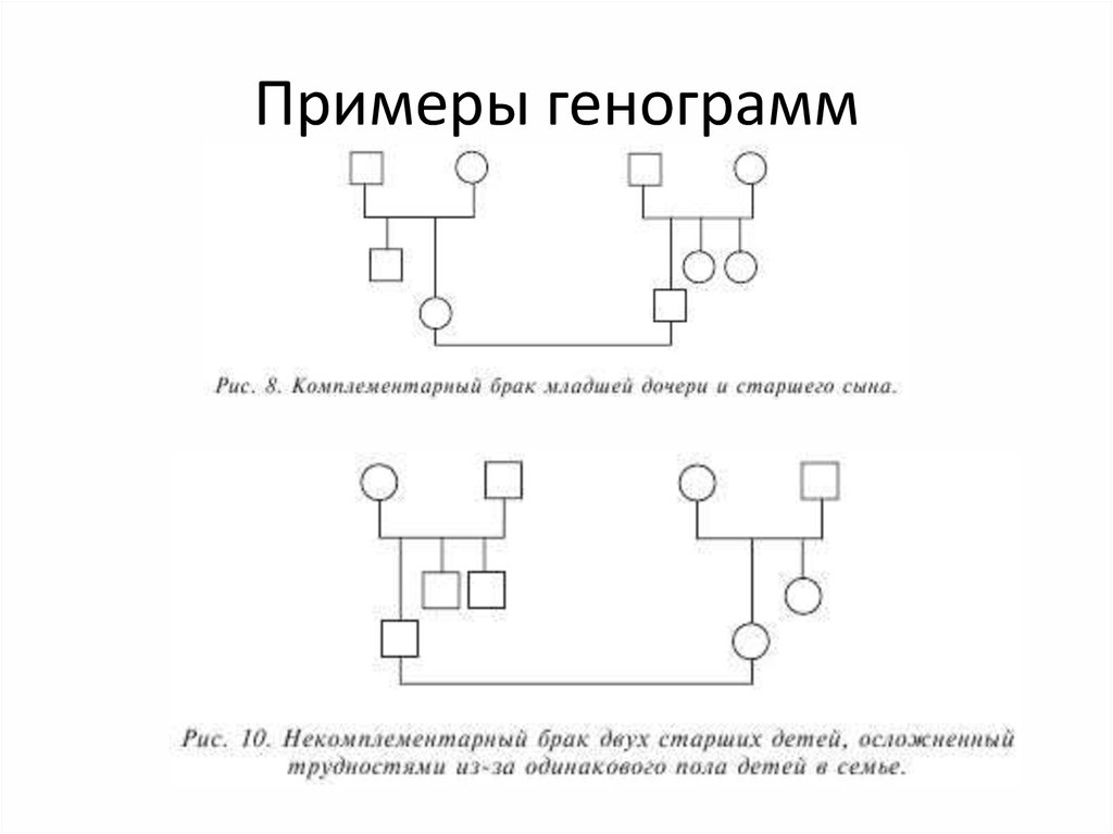 Образец генограммы семьи