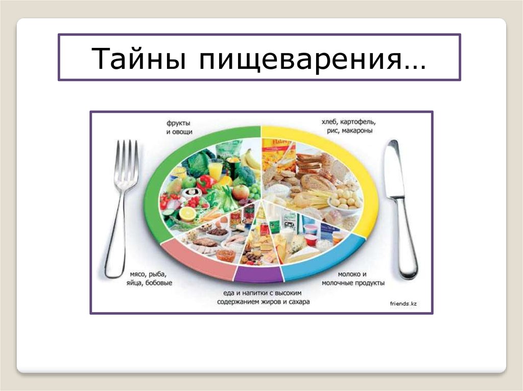 Урок питания 6 класса