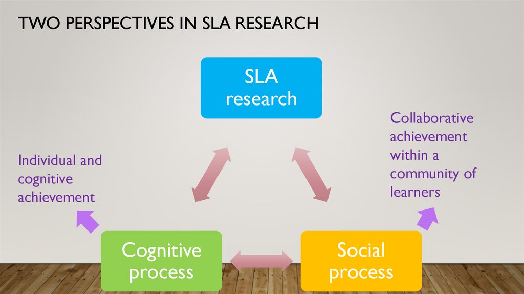 TWO PERSPECTIVES IN SLA RESEARCH