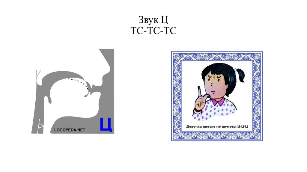 Артикуляция звука ц картинка