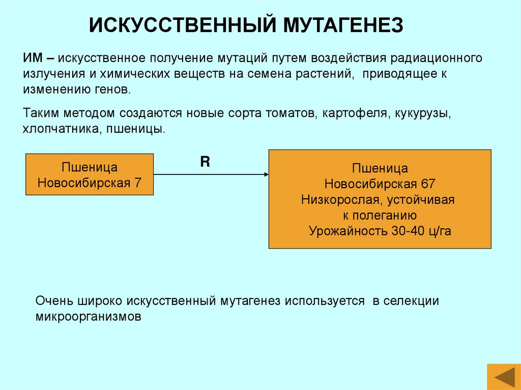 Искусственный мутагенез презентация