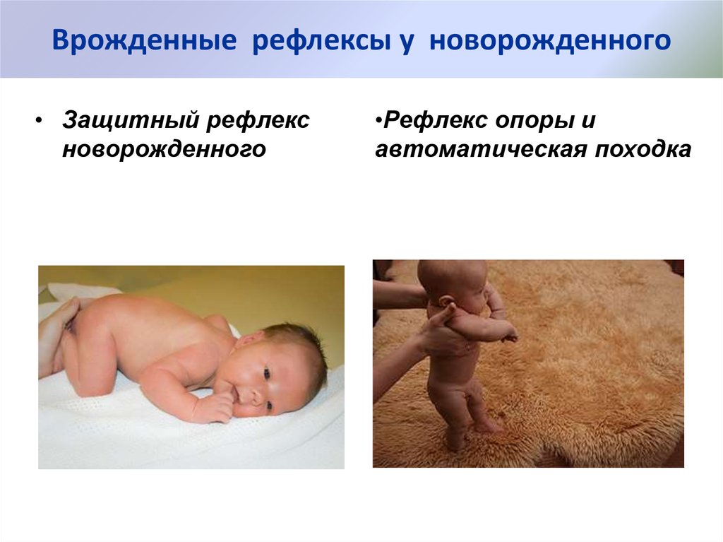 Врожденные какой рефлекс. Защитный рефлекс у новорожденности. Хоботковый рефлекс у новорожденных. Безусловные тонические рефлексы новорожденного. Врожденные рефлексы новорожденного ребенка.