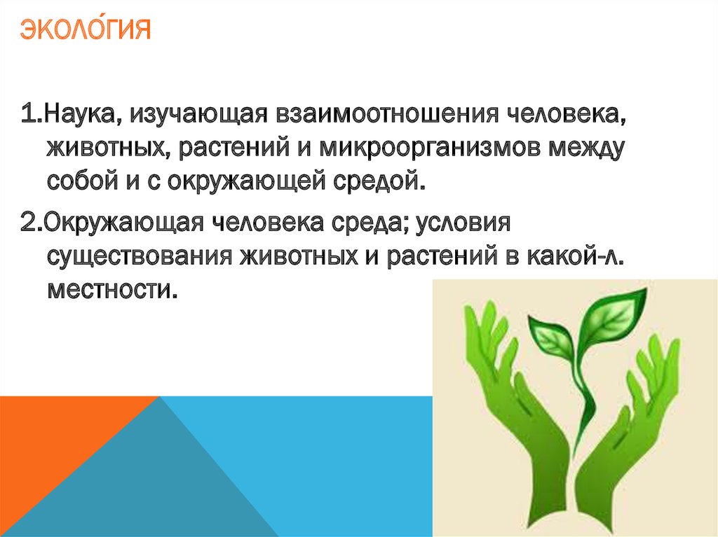 Нарушение экологического равновесия обж 8 класс презентация