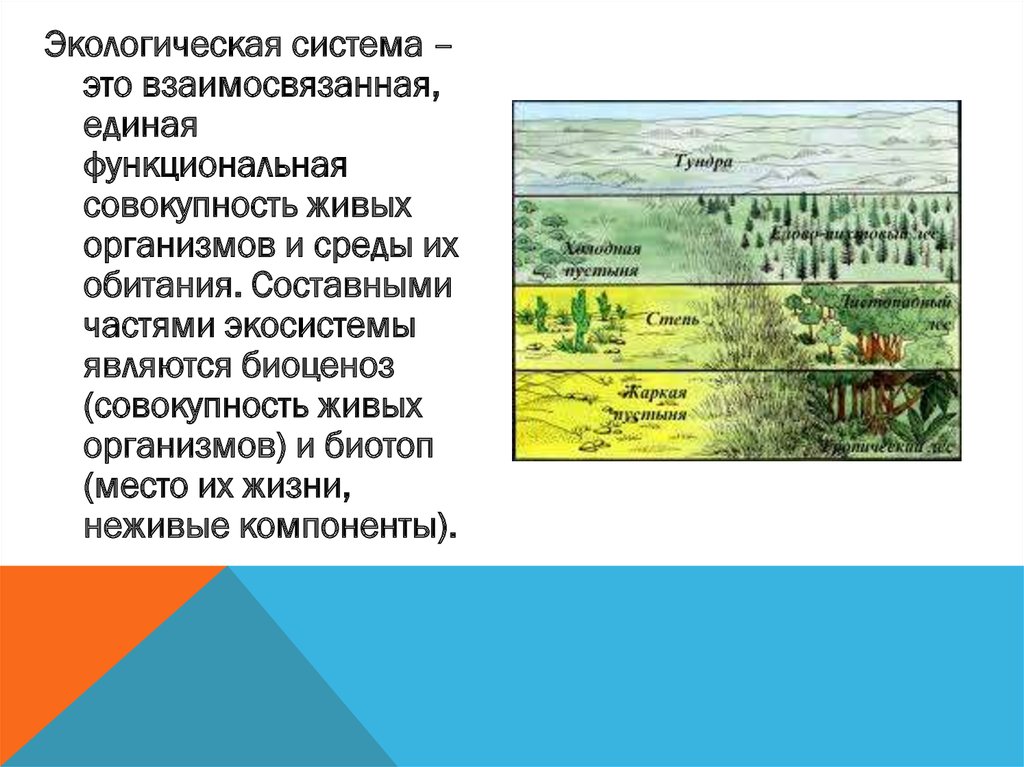 Презентация нарушение экологического равновесия