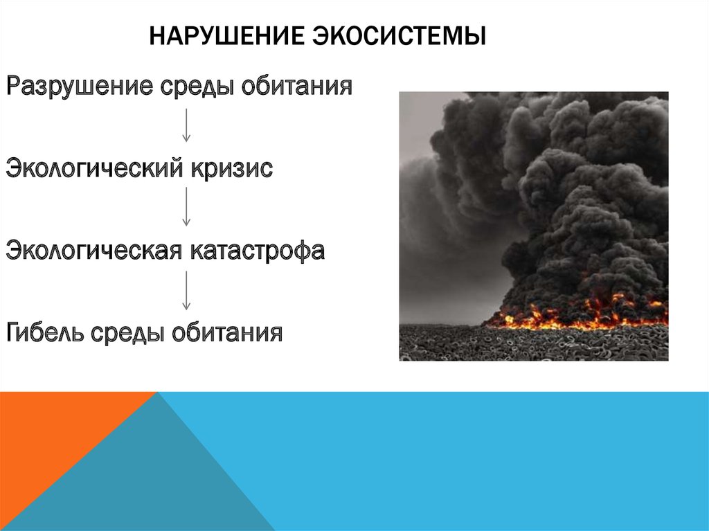 Нарушение равновесия в природной экологической системе