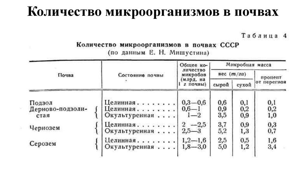 Масса микроорганизма