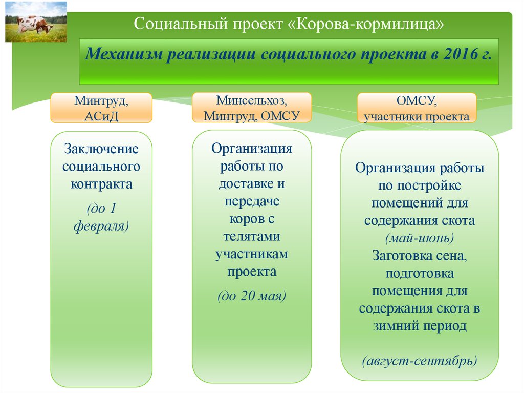 Механизм реализации социального проекта