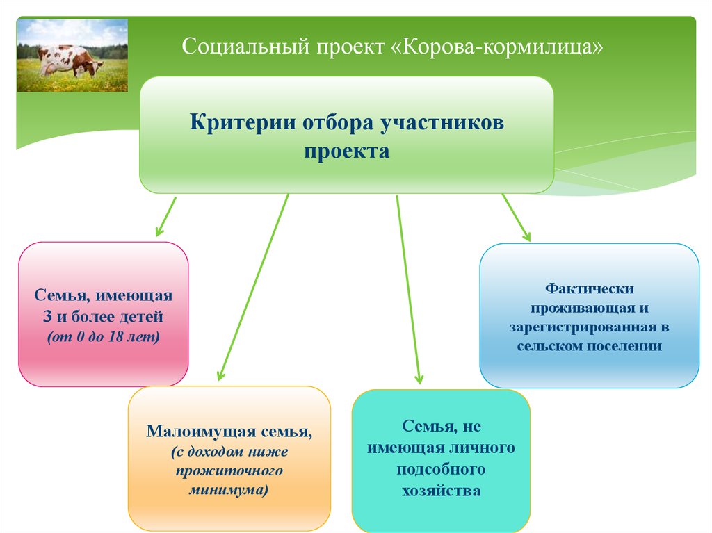 Корова кормилица проект в туве