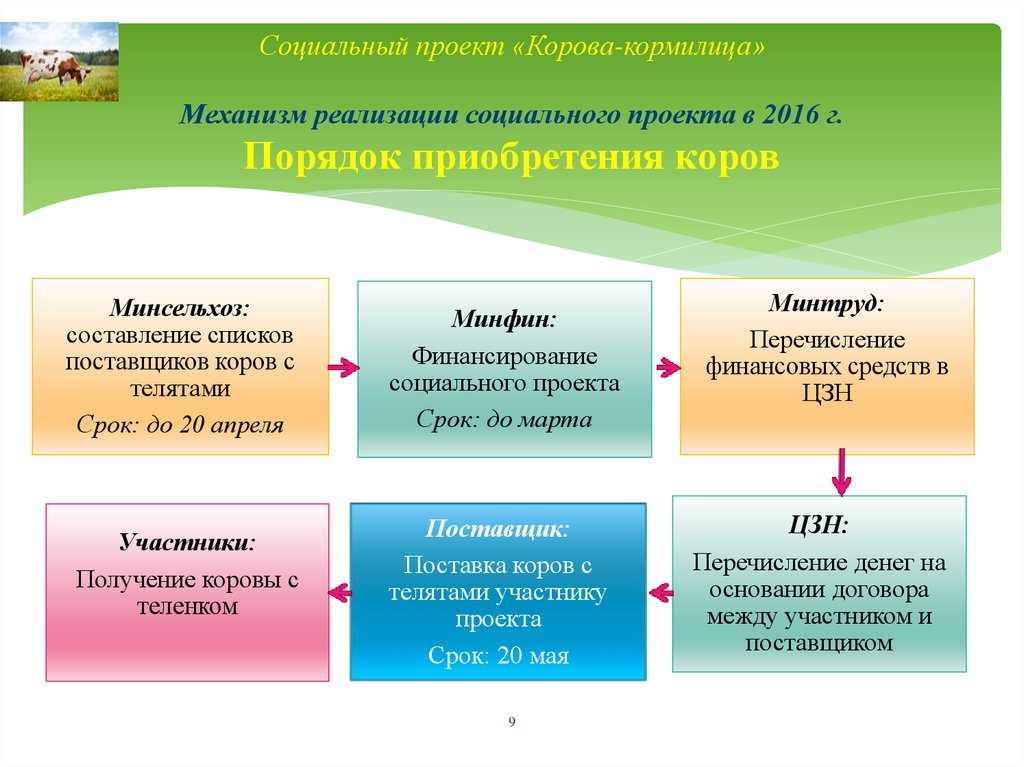 Механизм реализации проекта