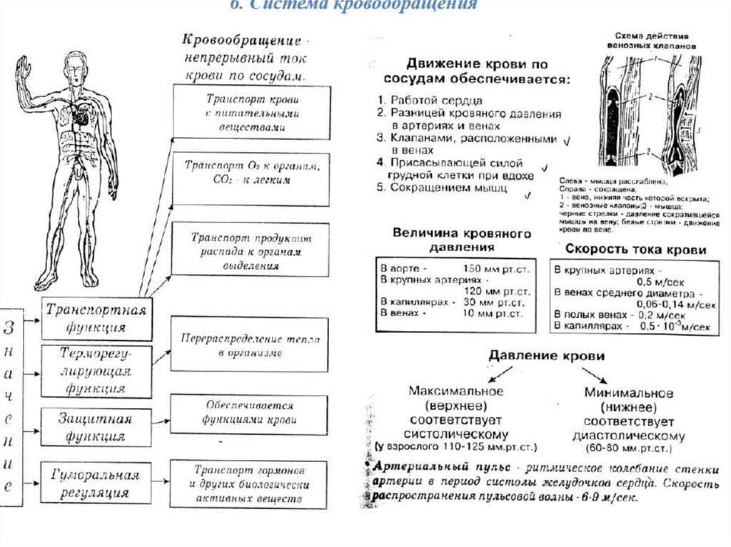 Подготовка к егэ николай 1 презентация