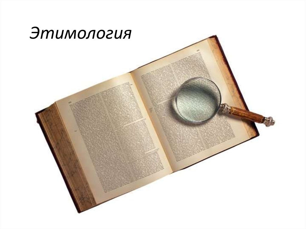 Этимология