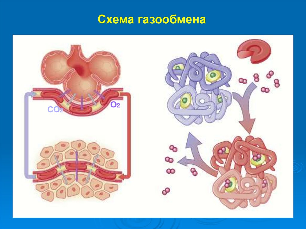 Как называется процесс изображенный на рисунке