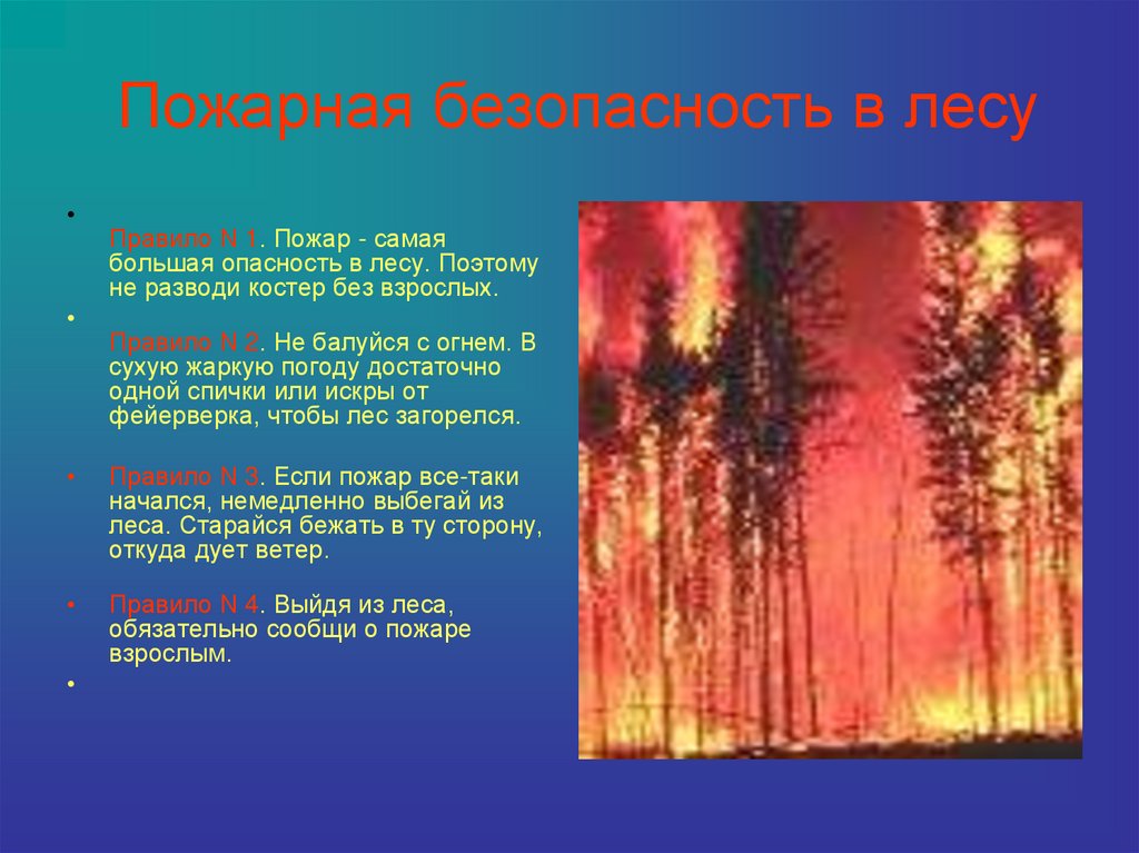 Пожар пожарная опасность. Пожарная безопасность в лесу. Пожарная безопасность пожар в лесу. Безопасность с огнем в лесу. Противопожарная безопасность леса.