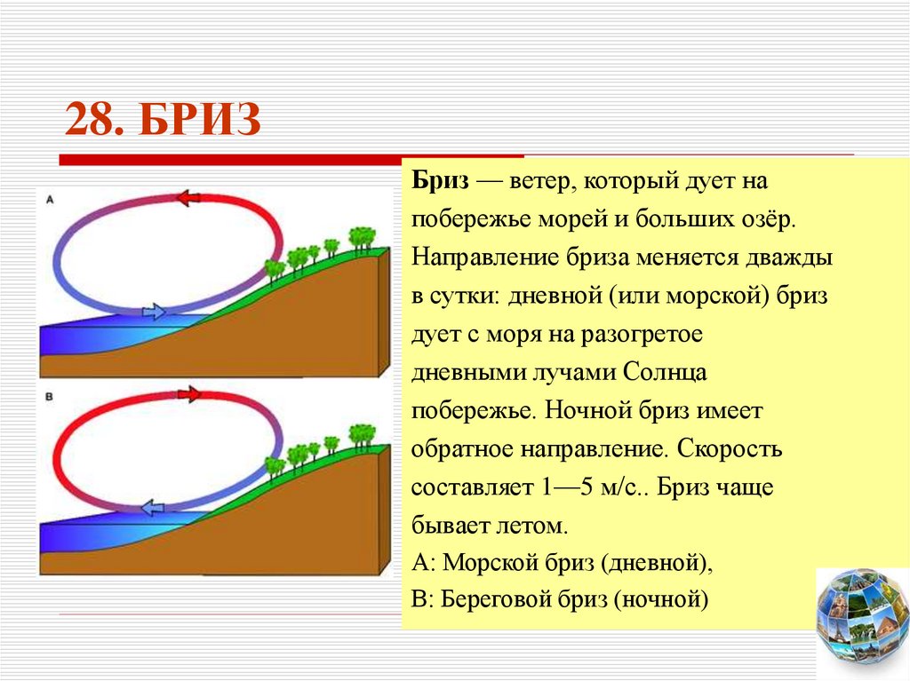 Ветер меняющий направление в сутки. Направление дневного бриза. Бриз это ветер который дует. Дневной Бриз дует в направлении. Ветер Бриз доклад.