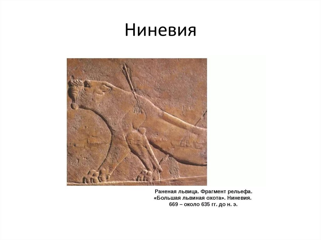 Ниневия это история 5. Раненая львица древний рельеф. Ниневия кратко. Какой климат был в Ниневии. Раненая львица рельеф из дворца в Ниневии.