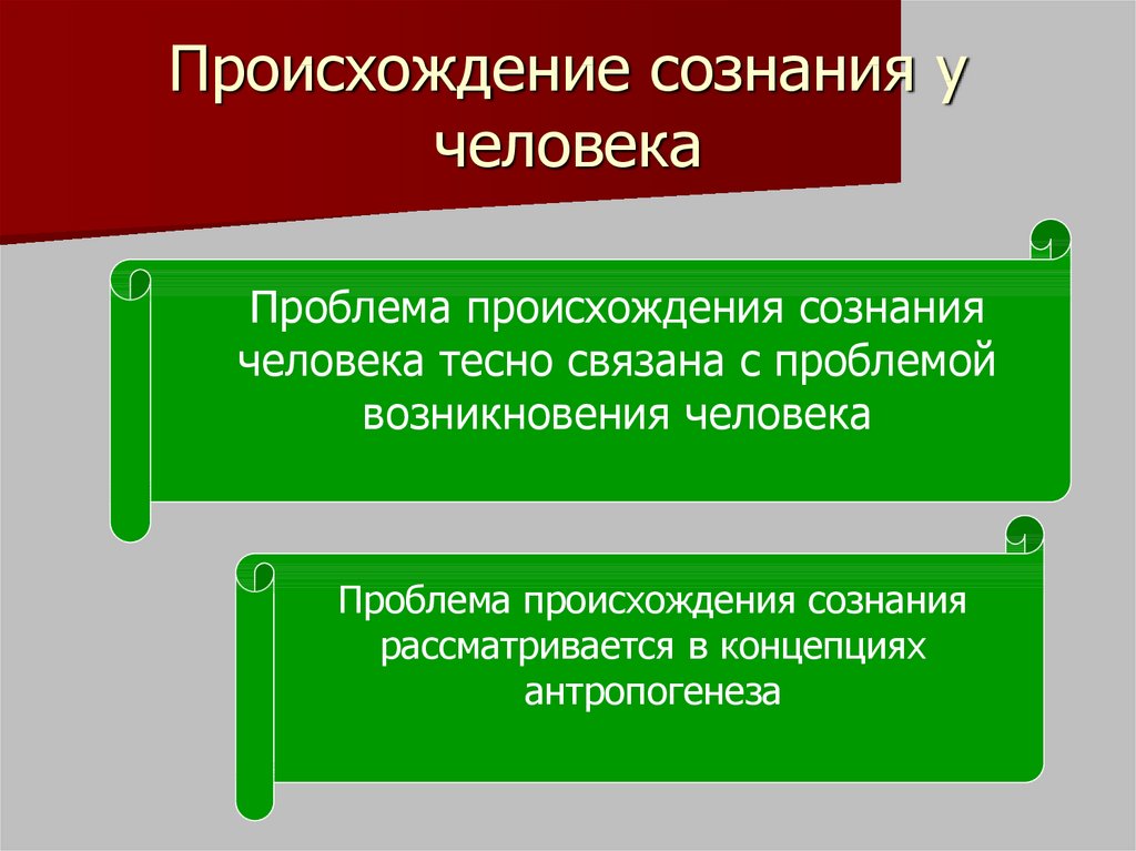 Условия возникновения сознания человека