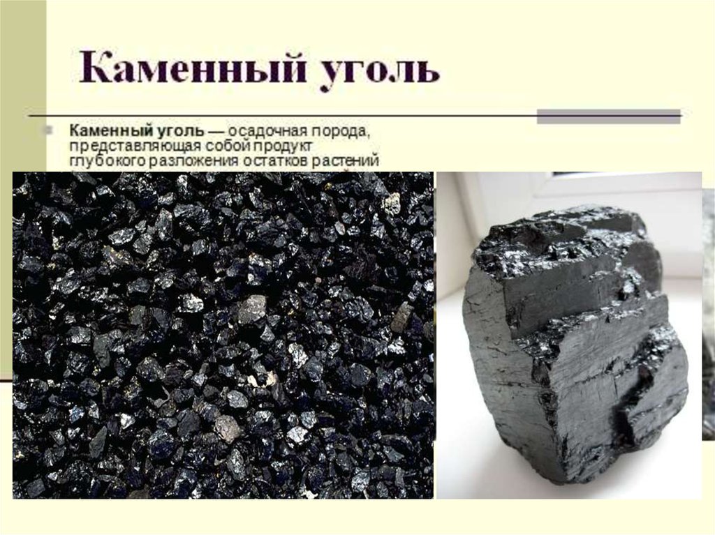 К чему относится каменный уголь. Каменный уголь осадочные горные породы. Каменный уголь. Уголь порода. Угольная порода.