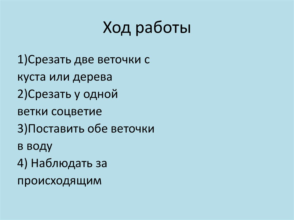 Ход работы