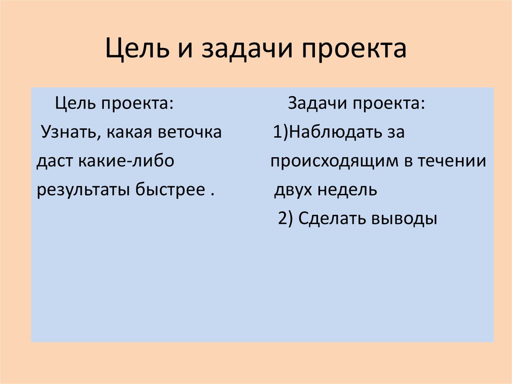 Быстрые цели. Икона задачи проекта. Цель и задачи проекта Эверест. Задачи проекта моё любимое произведение. Цель сделать.