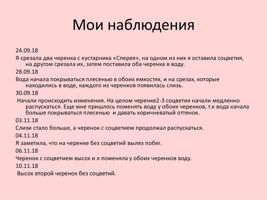 Мои наблюдения