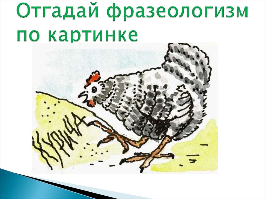 Курица пишет лапой картинка