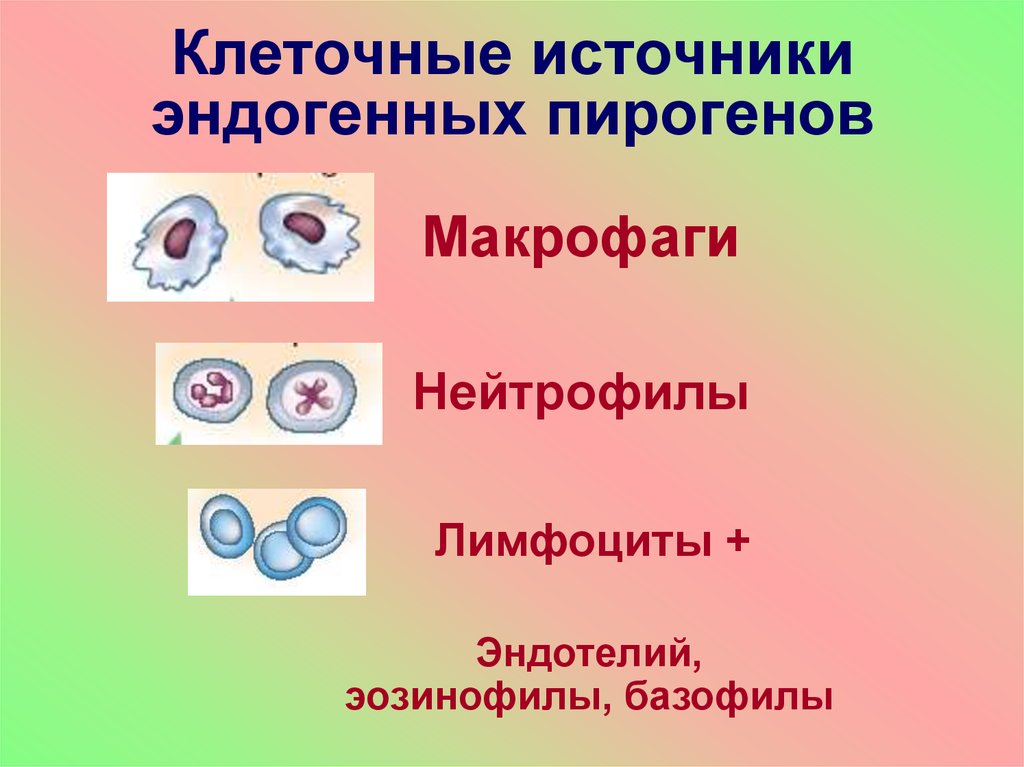 Источники клеток. Источники эндогенных пирогенов. Укажите источники эндогенных пирогенов. Источник экзогенных пирогенов. Клетки основные источники эндогенных пирогенов.