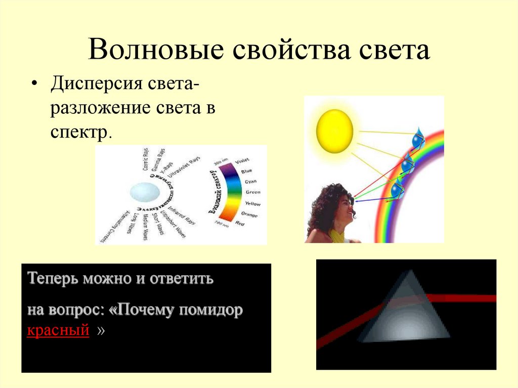 Волновые свойства света. Таблица волновых свойств. Волновые явления света. Волновые свойства света примеры.