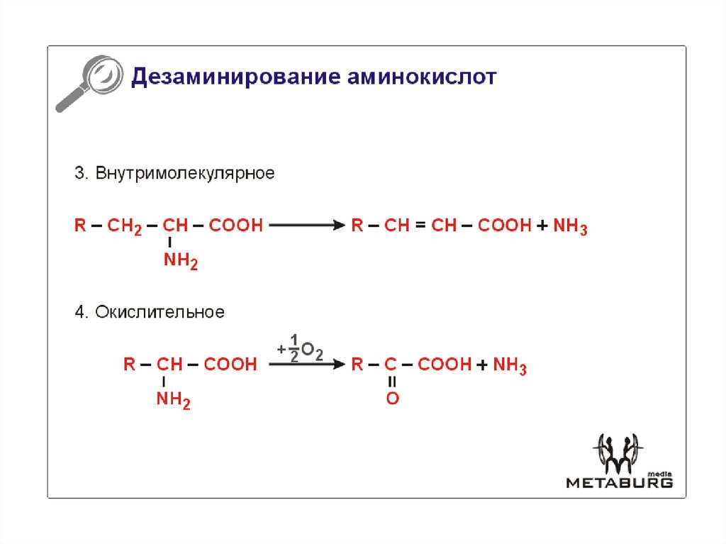 Ферменты дезаминирования. Химические свойства аминокислот дезаминирование. Реакции окислительного дезаминирования аминокислот. Реакции непрямого окислительного дезаминирования аминокислот. Окислительное дезаминирование метионина реакция.