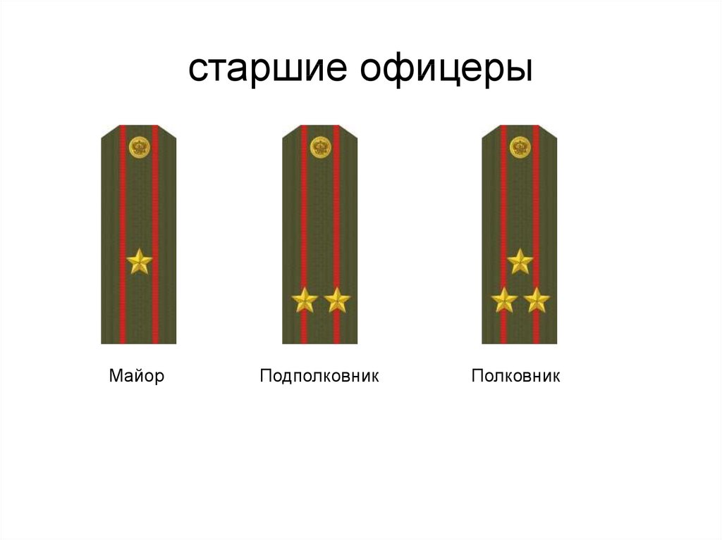 Должности генералов. Полковник подполковник майор погоны. Погоны старшего офицерского состава Российской армии. Старшие войсковые офицеры звание. Майор старший офицерский состав.