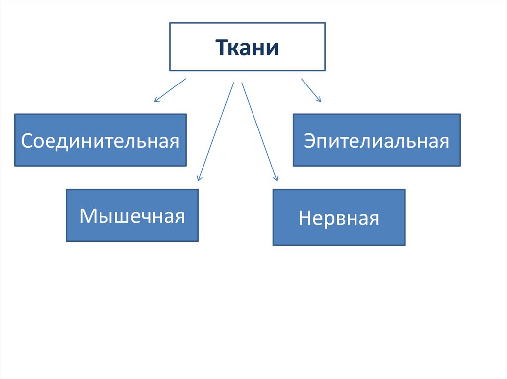 Выбор нужной ткани проект по технологии