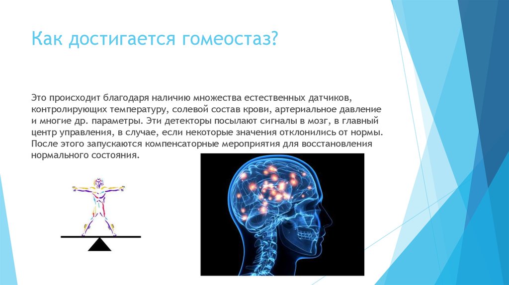 Каким образом достигается