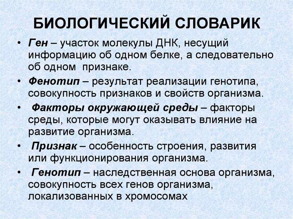 Днк несет информацию. Биологический словарь 5 класс. Словарь биологических терминов. Словарик биологических терминов с определениями. Ген словарь.