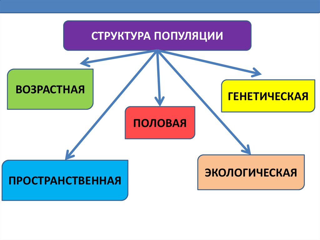 Свойства популяции схема