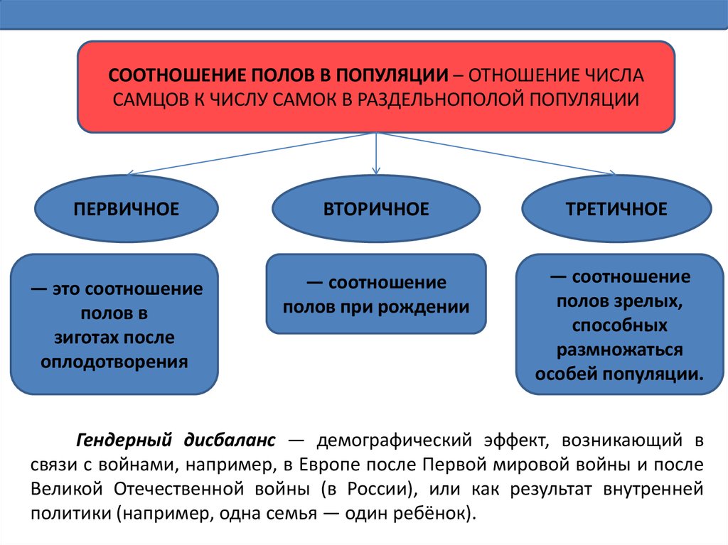 Коэффициент пол. Соотношение полов в популяции. Первичное вторичное и третичное соотношение полов. Первичное соотношение полов популяции. Третичное соотношение полов популяции.