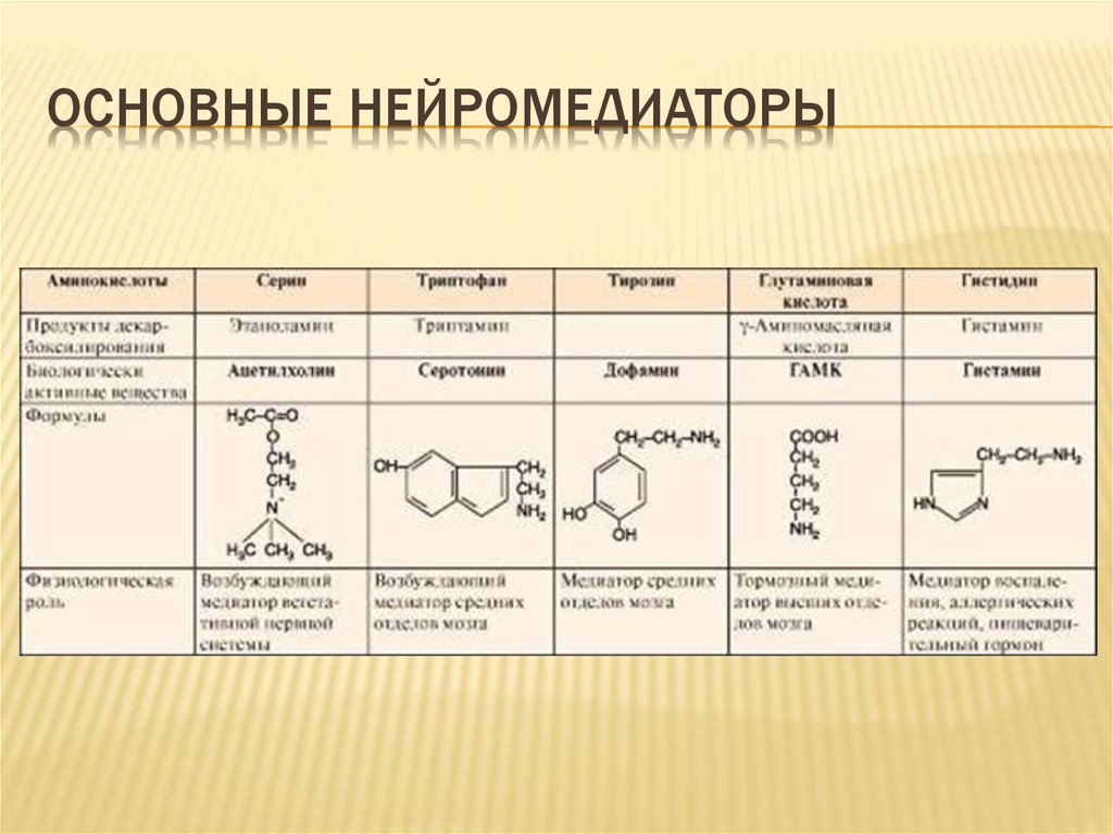 Нейромедиаторы