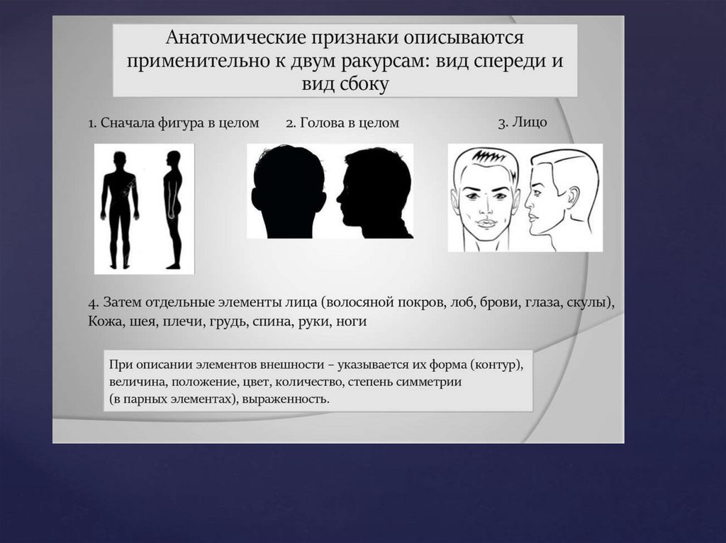 Правила описания внешности человека по методу словесного портрета презентация