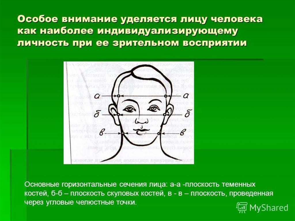 Признаки человека криминалистика. Габитоскопия лицо человека. Внешние признаки человека. Точки на лице габитоскопия. Форма лица криминалистика.