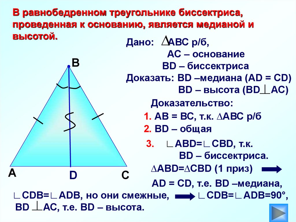Любая биссектриса треугольника делит его пополам. Биссектриса проведенная к основанию равнобедренного треугольника. Биссектриса в равноравнобедренном треугольнике. Мидиана и биссиктриса в разнобедренном триугольнике. Биссектриса проведенная к основанию является медианой и высотой.