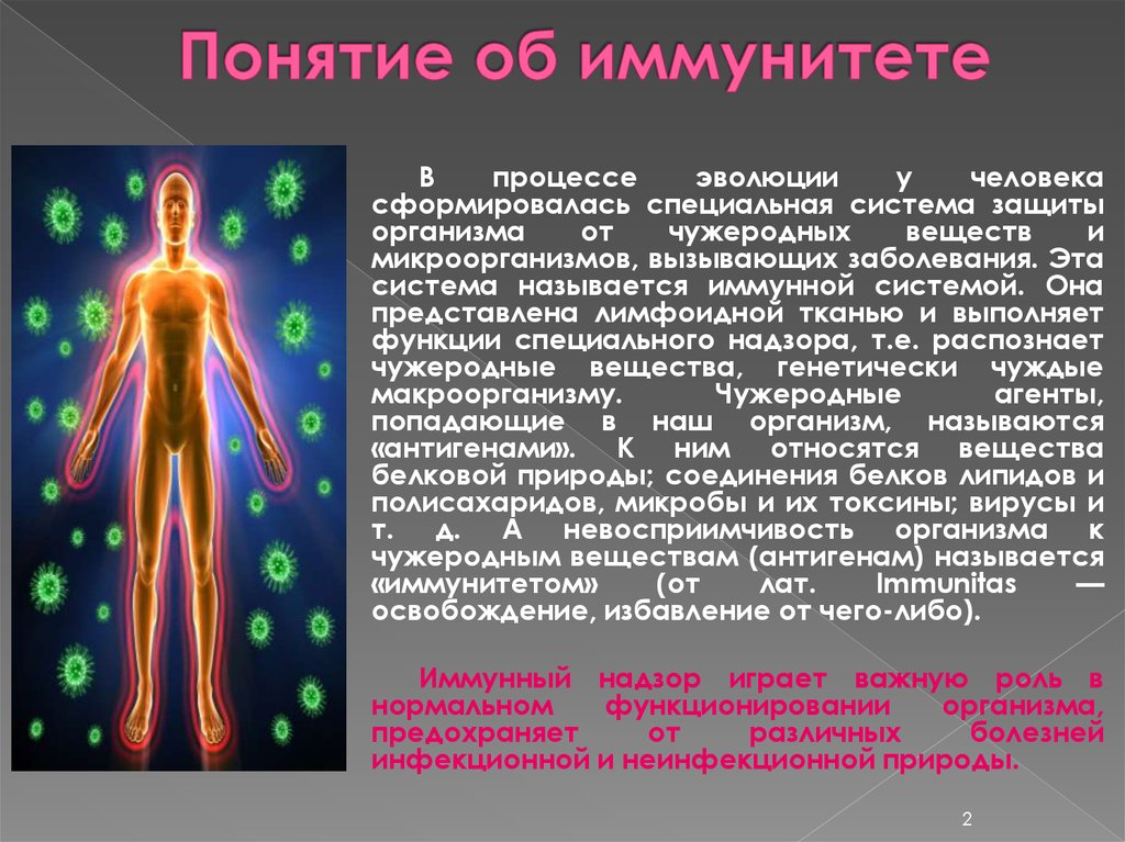 Иммунитет презентация медицина