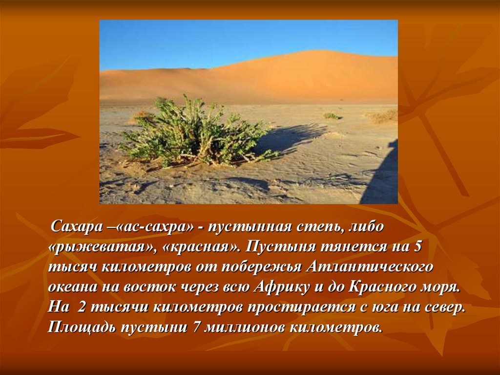 Сообщение о пустыне. Пустыня сахара доклад 4 класс. Пустыня сахара презентация. Сахара презентация. Пустыня презентация.