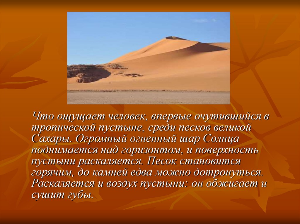 Использование природы пустыни человеком. Тропические пустыни презентация. Информация о пустыни. Сахара презентация. Проект пустыня.