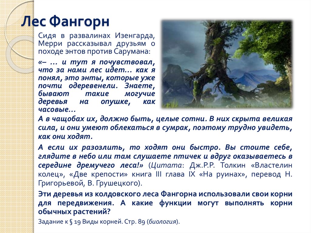 Лес Фангорн