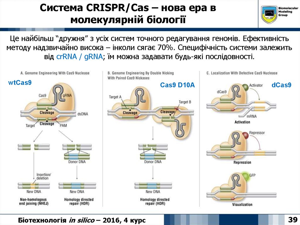 Система CRISPR/Cas – нова ера в молекулярній біології