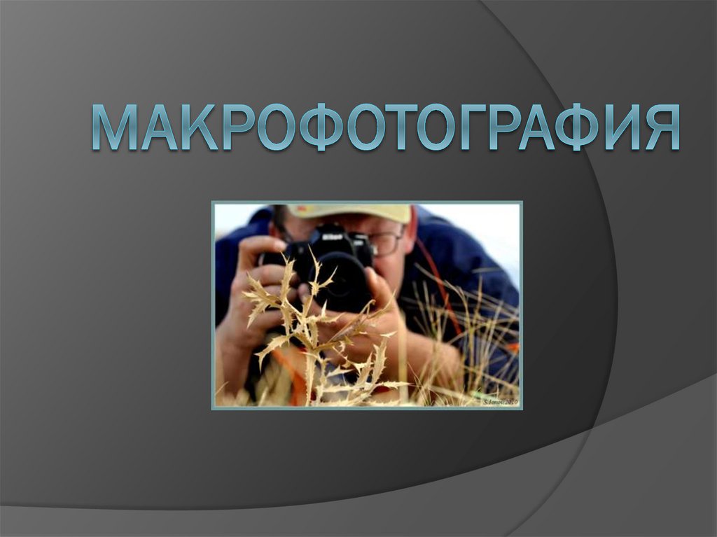 Презентация о фотографии