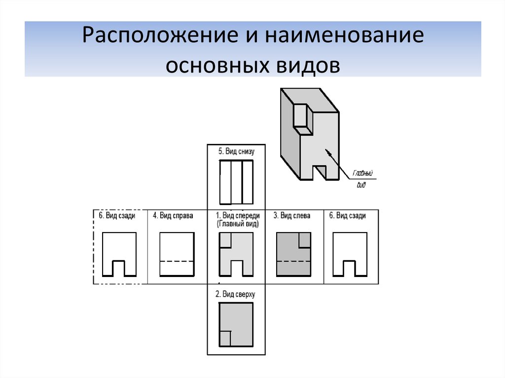 Главный вид детали. Расположение вида сверху и снизу на чертеже. Вид снизу Инженерная Графика. Как называется вид спереди на чертеже. Вид снизу располагают на чертежах.