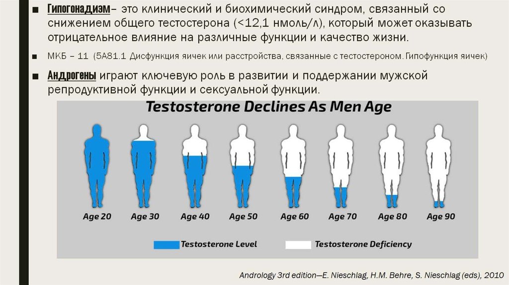 Гипергонадизм у мужчин презентация