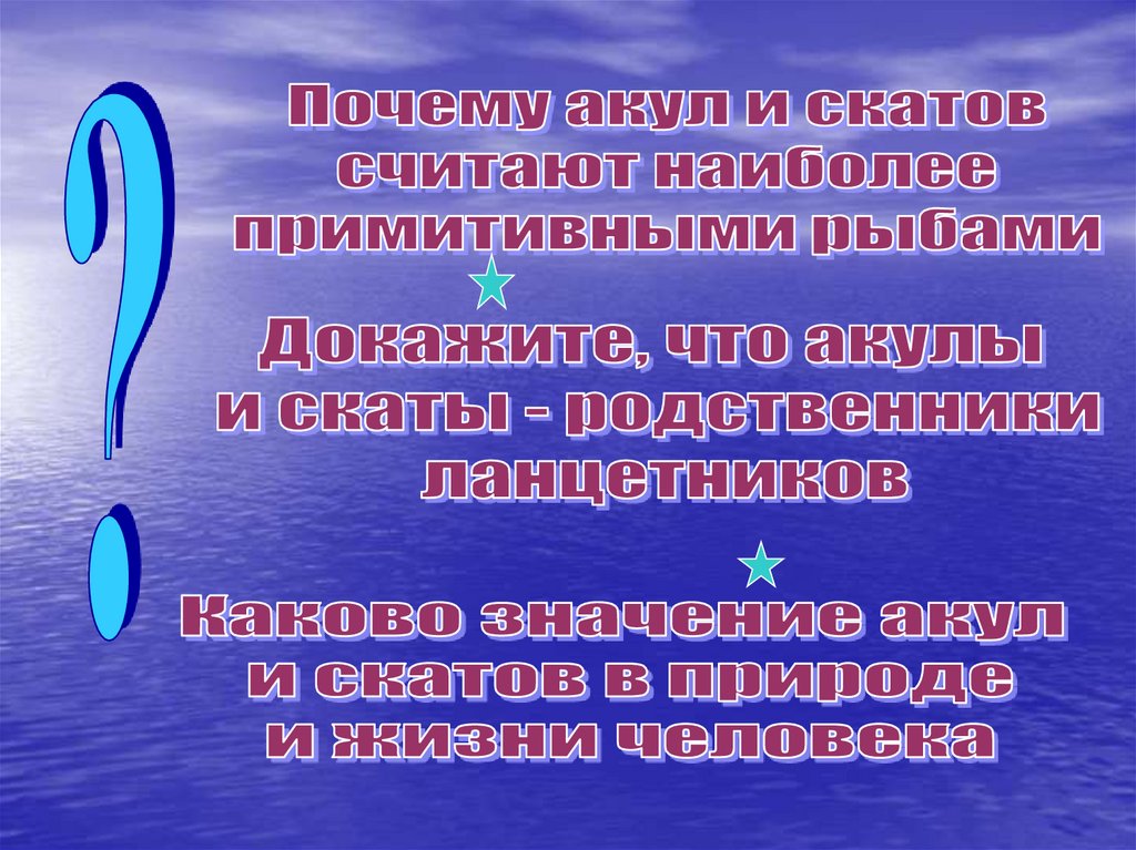 Наиболее примитивный. Значение акул в природе и жизни человека. Каково значение акул и скатов в природе и жизни человека. Значение скатов в природе и жизни человека. Значение акул и скатов в природе.