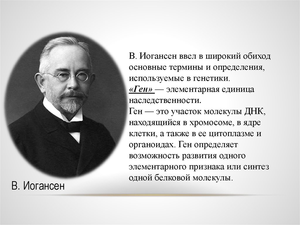 Генетическая основа. Иогансен. Иогансен генетика. Генная теория наследственности – Иогансен. Опыт Иогансена.