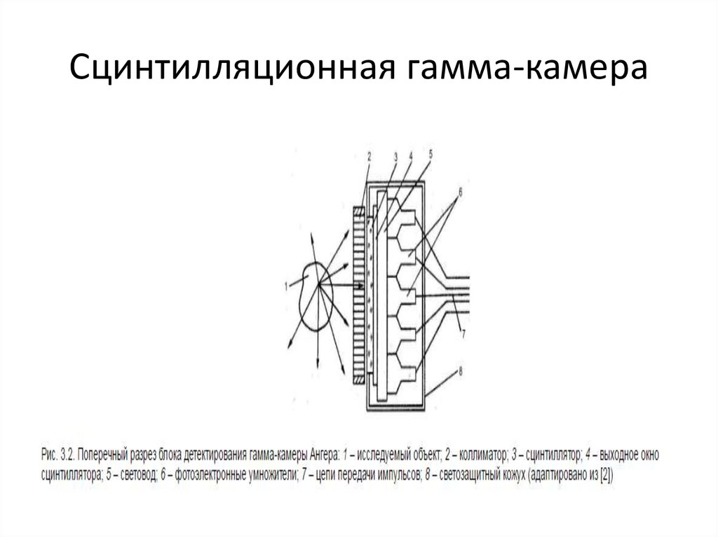 Схема устройства гамма камеры